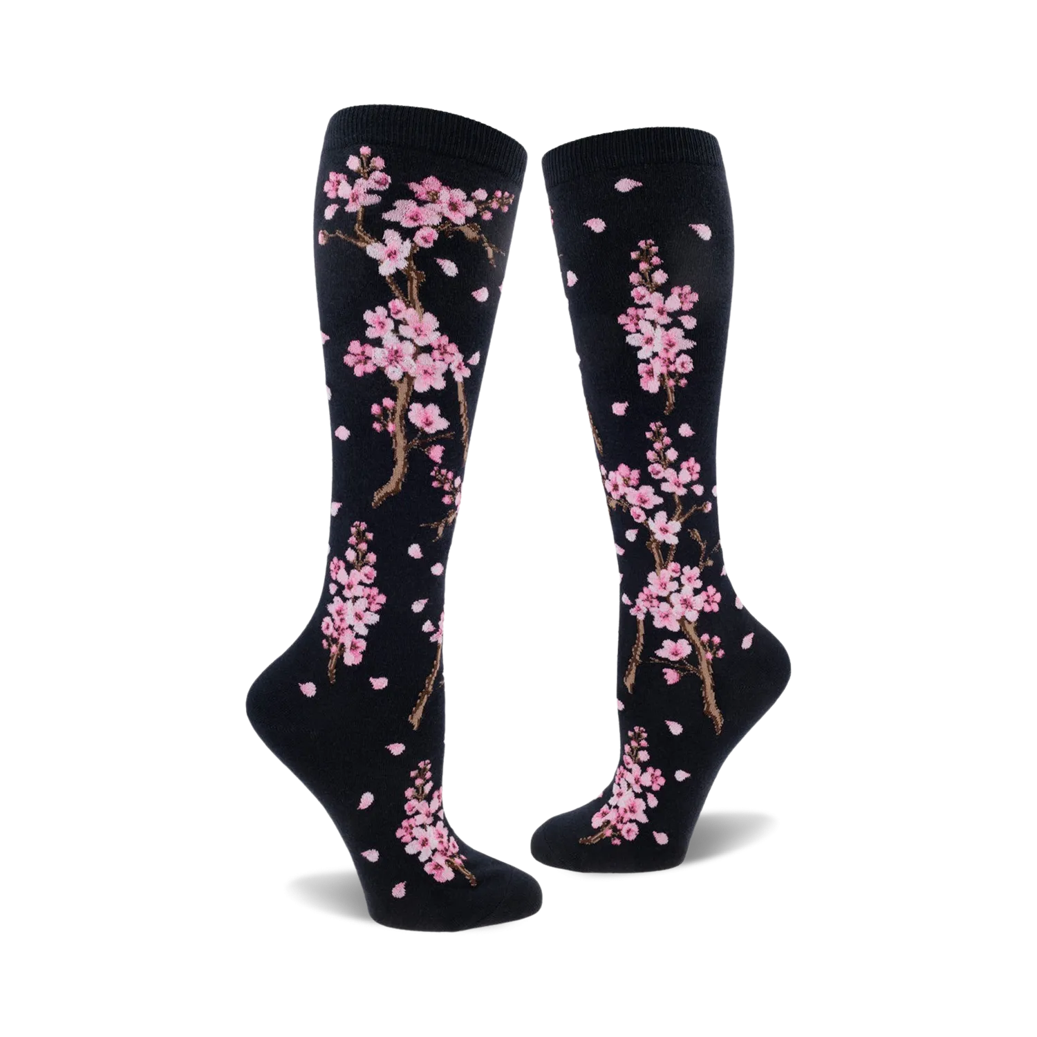 Cherry Blossom