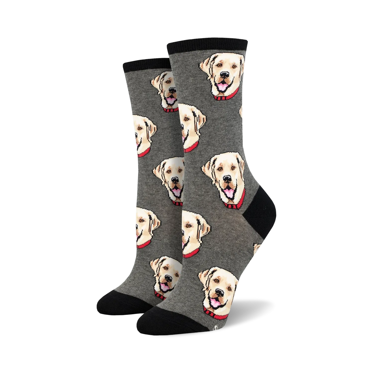 Labrador