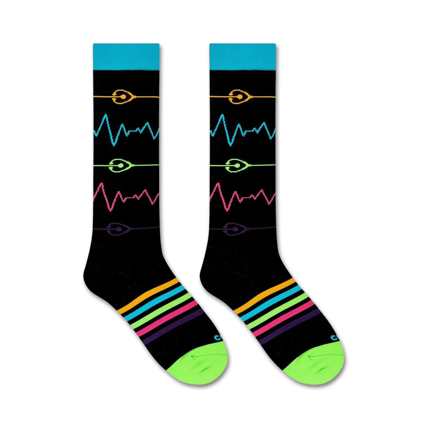 Pulse