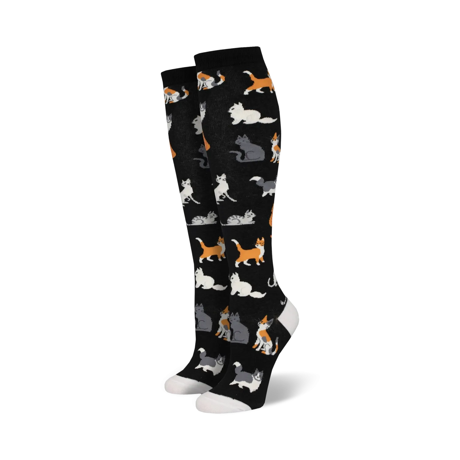 The Cats Meow