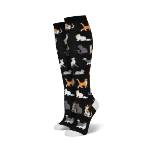 The Cats Meow